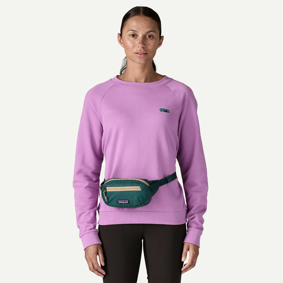 PAT49448 Terravia Mini Hip Pack