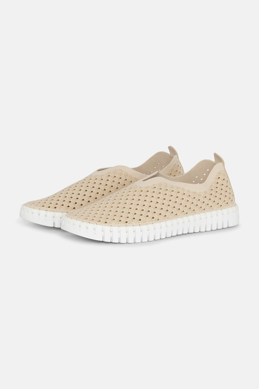 IJTulip139 Flats