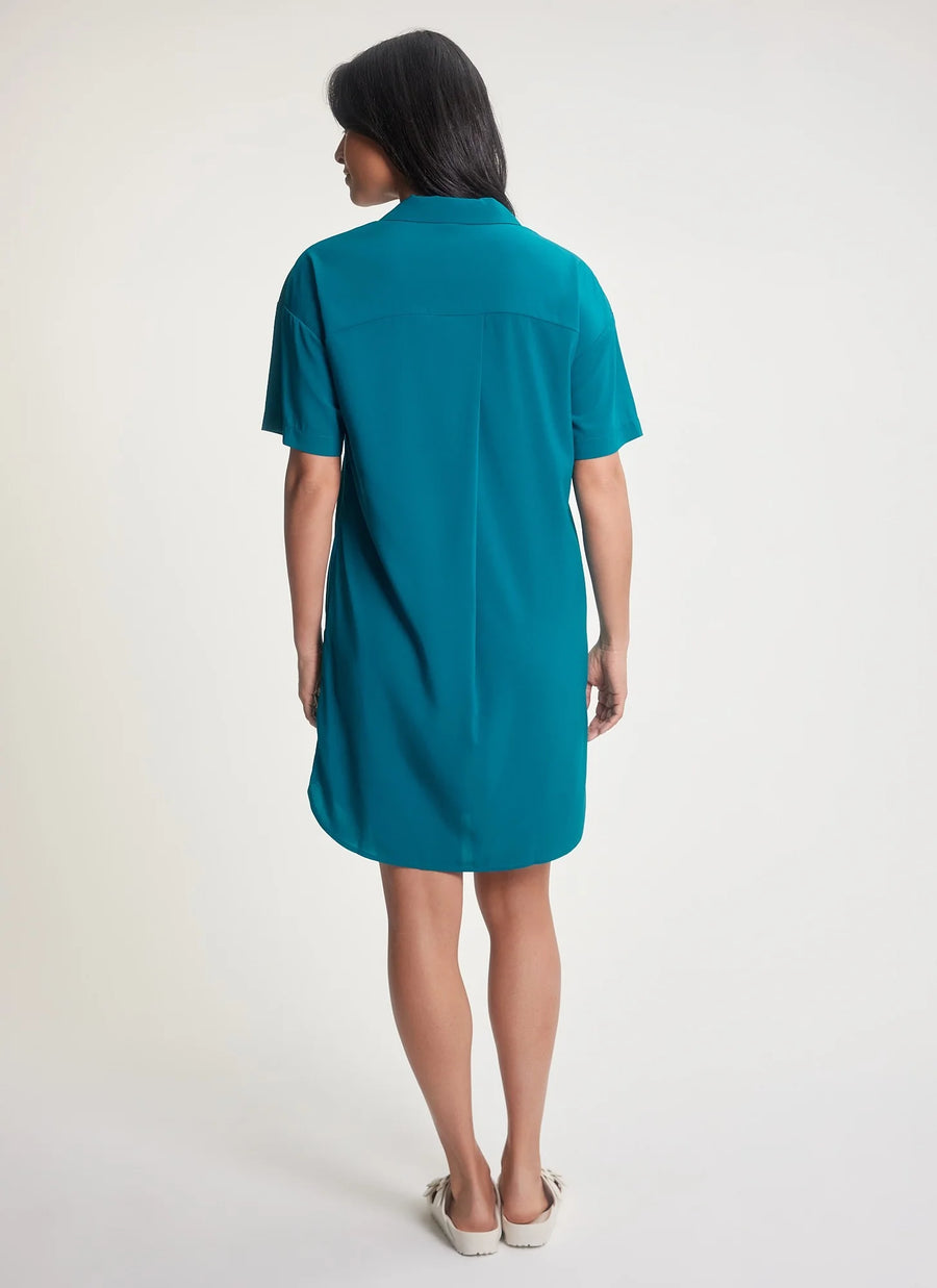 FIG17220 Shelly Dress